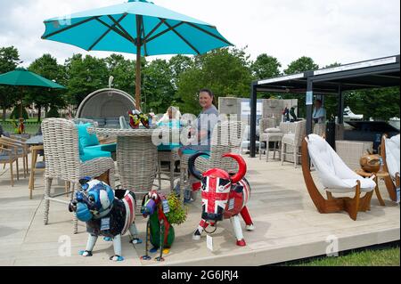 East Molesey, Surrey, Großbritannien. Juli 2021. Bunte Kissen und Weinkühler zum Verkauf. Quelle: Maureen McLean/Alamy Stockfoto