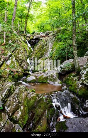 Im Sommer bietet der Shenandoah National Park einen malerischen Überblick über die dunklen Hollow Falls Stockfoto