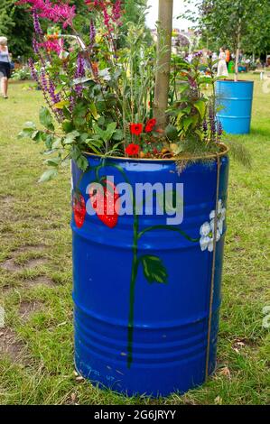 East Molesey, Surrey, Großbritannien. Juli 2021. Eine alte Trommel, die gemalt und als Pflanzgefäß verwendet wurde. Quelle: Maureen McLean/Alamy Stockfoto