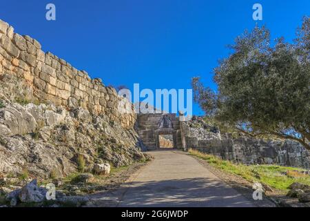 Blick auf das Lions Gate auf das antike Mycenae Griechenland von unten auf dem Hügel, der den Gehweg zeigt - im Schatten eines Olivenbaums - der durch die Öffnung und das h führt Stockfoto