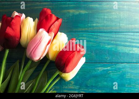 Ein Hintergrund von roten rosa und gelben Tulpen auf einer Teal Wood Oberfläche Stockfoto