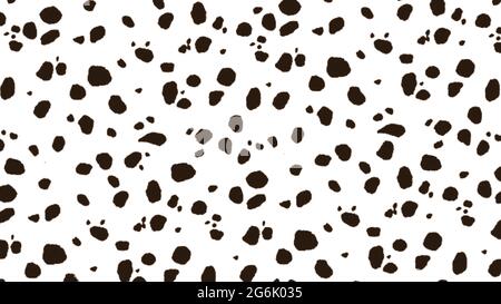Schwarz-Weiß-Hintergrund von dalmatinischen Flecken Stockfoto