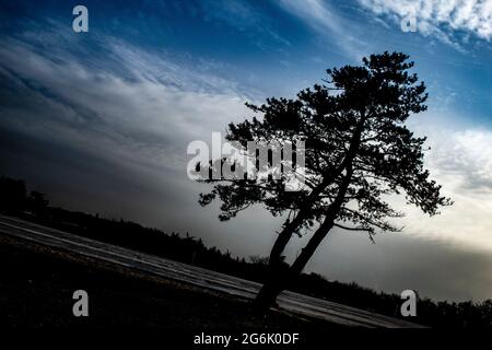 Perfekt für Werbung, Websites und Artikel Stockfoto