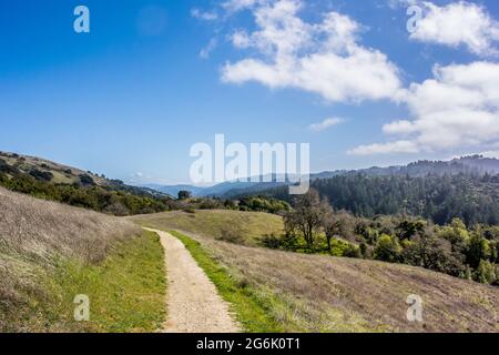 Blick auf die Berge und das Tal von Santa Cruz vom Monte Bello Preserve (Los Altos), Fußweg in die Ferne. Weiches, ruhiges Licht. Stockfoto