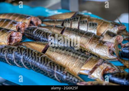 Geräucherte Makrelen liegen auf einem Förderband. Nahaufnahme Stockfoto