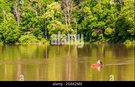 Eine Hündin auf einem Kajak mit einem Hund an Bord auf dem Allegheny River in Althom, Pennsylvania, USA Stockfoto