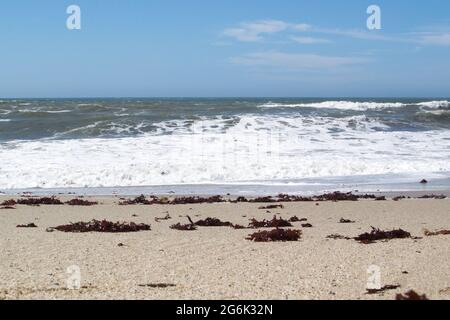 Himmel, Ozean und Ufer glänzen, als drei horizontale Stangen, schäumende Wellen und rotes Seegras auf den Sandstrand schwammen. Stockfoto