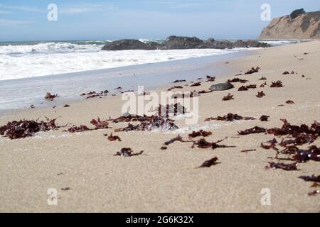 Blick auf Ross Cove Beach vom Erdgeschoss aus, verwaschene Algen, stürzende Wellen, Felsen und Klippen am Horizont Stockfoto