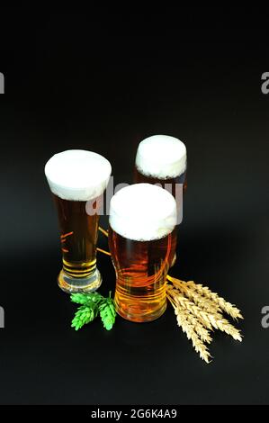 Drei verschiedene Gläser helles Bier mit weißem Schaum, Hopfen und Malz nebeneinander auf schwarzem Hintergrund. Nahaufnahme. Stockfoto