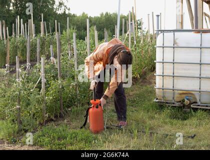 Bäuerin bereitet Pumpe für das Sprühen von Düngemitteln oder Pestiziden im Garten vor. Schutz der Pflanzen vor Schädlingen oder saisonaler Düngung mit Spurenele Stockfoto