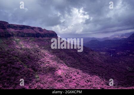 Schöne Infrarotlandschaft der grünen Hügel und Täler bei Malshej Ghat in Maharashtra, Indien Stockfoto