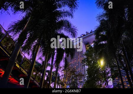 Rückansicht eines Teils des Marina Bay Sands Hotels hinter hohen Palmen, Singapur. Farbenfroher tropischer Sonnenuntergang Stockfoto