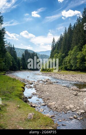 Gebirgsfluss läuft durch bewaldete Tal. Landschaft an einem Sommertag. Bäume und Steine am Ufer. Ökologie Problem mit geringer Entstau von w Stockfoto