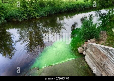 Hellgrün verschmutzte Abwässer, die über einen Betonüberlauf in einen unberührten Wasserweg fließen und eine Wolke der Umweltverschmutzung in einem ökologischen und ökologischen Bereich bilden Stockfoto