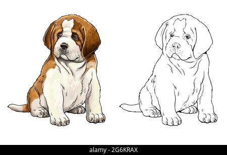 Saint Bernard Bild. Niedliche Hunde Welpen. Farbvorlage. Digitale Illustration. Stockfoto