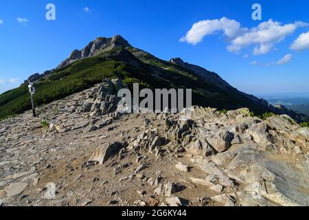 Tatra Nationalpark im Sommer. Blick vom Pass (Kondracka Przelecz) auf den Giewont-Gipfel. Stockfoto