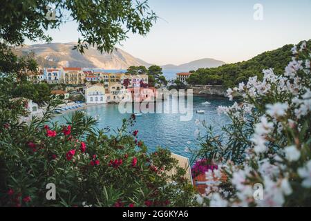 ASSOS Dorf auf der Insel Kefalonia, Griechenland. Rot-weiße Oleandre-Blüte im Vordergrund mit türkisfarbener Bucht und bunten traditionellen Häusern Stockfoto