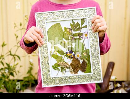 Kind zeigt handgemachte getrocknete gepresste echte Blumen Pflanzen im Bilderrahmen. Kunst und Kunsthandwerk Konzept. Gerahmte Pflanzen. Stockfoto