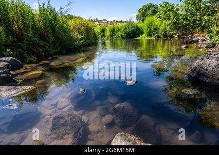 Ein Tina (AKA ein Notera) eine natürliche Wasserquelle in den Golanhöhen, Israel. Der größte Teil des Wassers wird von lokalen Bauern und Kibbuzim für irrig gesammelt Stockfoto