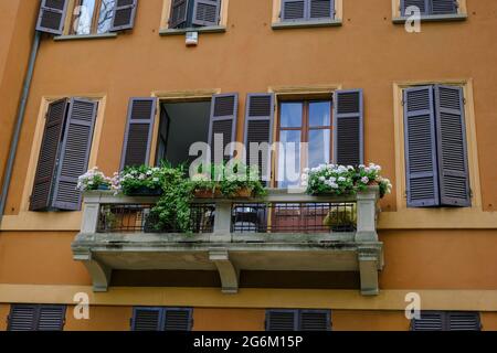 Schöner Balkon mit Fenstern und Blumen. Braune Gebäudefassade mit Fenstern, die vom Himmel reflexiert wurden, und Fensterläden in der Innenstadt Stockfoto