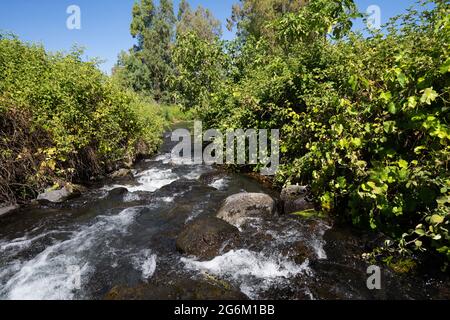 Ein Tina (AKA ein Notera) eine natürliche Wasserquelle in den Golanhöhen, Israel. Der größte Teil des Wassers wird von lokalen Bauern und Kibbuzim für irrig gesammelt Stockfoto