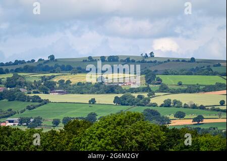 Die Sommersonne scheint auf den Feldern von South Shropshire, wie man sie vom Pontesbury Hill aus sieht Stockfoto