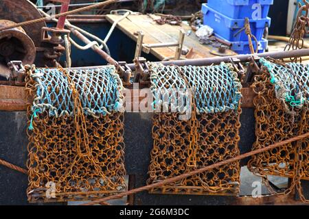 Muschel oder Jakobsmuscheln ziehen Netze auf einem Fischerboot im Hafen von Weymouth in Dorset, England. Stockfoto