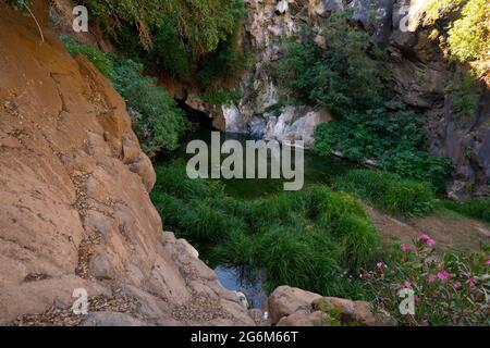 Israel, Golan-Höhen, Saar Bach und Wasserfall Naturschutzgebiet Stockfoto