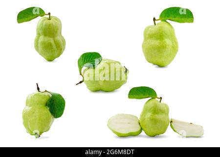 Sammlung Gruppe von frischen Guavas mit grünen Blättern isoliert auf weißem Hintergrund. Stockfoto