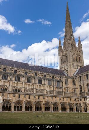 Geschlossene gewölbte Kreuzgänge und imposante Turmspitze an der Kathedrale von Norwich Stockfoto