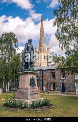 Blick auf eine Statue mit alten Feuersteinhütten und den Turm der Kathedrale von Norwich. Die Bronzestatue von Lord Wellington aus dem Jahr 1856 Stockfoto