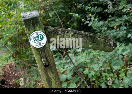 Nahaufnahme eines alten hölzernen, mit grünen Moos bedeckten Fußweges, das Teil des East Hampshire-Dienstes für Wegerechte ist Stockfoto