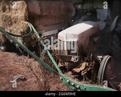 Alte alte alte landwirtschaftliche Ausrüstung mit Handhacke, Ferguson-Traktor mit 60 auf dem Nummernschild, Strohballen und Unterholz England Stockfoto