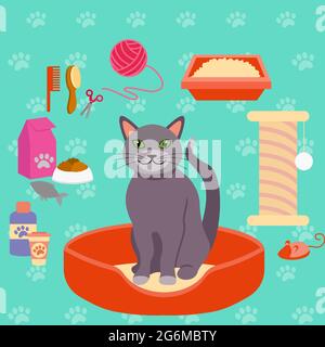 Vektor-Illustration von Katze und verschiedene Tierpflege-Accessoires für Katzen. Icons-Kollektion im flachen Stil. Stock Vektor