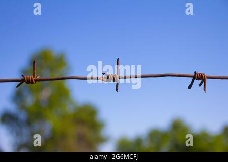 Stacheldraht auf blauem Himmel Hintergrund. Nahaufnahme. Stockfoto