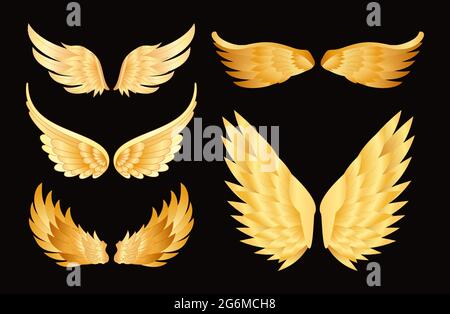 Vektor-Illustration Satz von verschiedenen goldenen Flügeln auf schwarzem Hintergrund. Stock Vektor