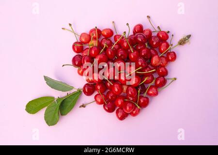 Rote Süßkirschen in herzförmiger Anordnung mit Pfeil des grünen Astes auf hellrosa Hintergrund. Stockfoto