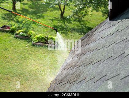 Sprühen von Moos zur Entfernung von Chemikalien auf das Hausdach. Moss-Entfernungskonzept. Stockfoto