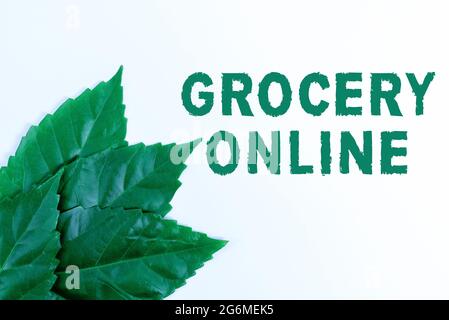 Konzeptionelle Bildunterschrift Lebensmittelgeschäft Online. Wort für digitale Version des Supermarktes akzeptieren Online-Bestellung Naturschutz Ideen, Neue Umwelt Stockfoto