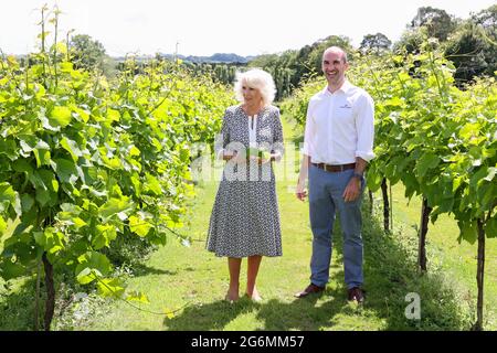 Die Herzogin von Cornwall, Präsident von Wine GB, mit dem Eigentümer von Llanerch Vineyard, Ryan Davies , während eines Besuchs zum 10. Jahrestag des Llanerch Vineyard in Pontyclun, im Rahmen einer einwöchigen Tour durch Wales für die Wales Week. Bilddatum: Mittwoch, 7. Juli 2021. Stockfoto