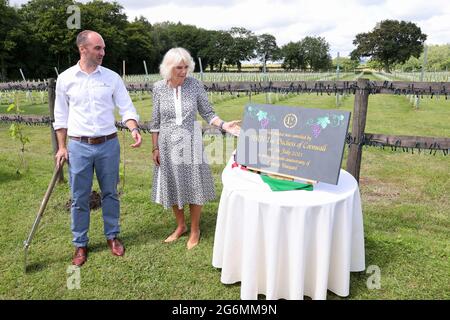 Die Herzogin von Cornwall, Präsident von Wine GB, enthüllt eine Gedenktafel anlässlich eines Besuchs zum 10. Jahrestag des Llanerch Vineyard in Pontyclun, als Teil einer einwöchigen Tour durch Wales für die Wales Week. Bilddatum: Mittwoch, 7. Juli 2021. Stockfoto