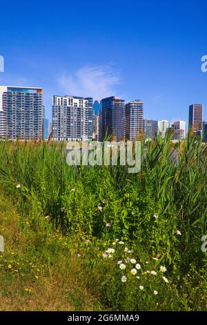 Kanada, Quebec, Montreal, Lachine Canal, Mehrfamilienhäuser Stockfoto
