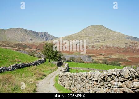 Der alte Mann von Coniston und Dow Crag aus der Nähe von Torver High Common Coniston im Lake District Cumbria England Stockfoto