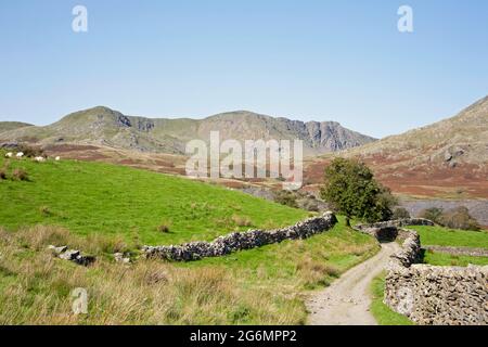 Der alte Mann von Coniston und Dow Crag aus der Nähe von Torver High Common Coniston im Lake District Cumbria England Stockfoto