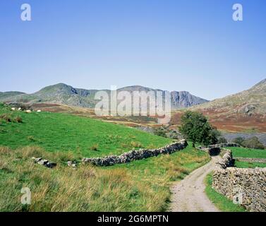 Der alte Mann von Coniston und Dow Crag aus der Nähe von Torver High Common Coniston im Lake District Cumbria England Stockfoto