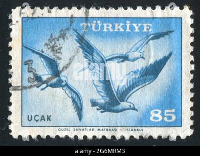 TÜRKEI - UM 1959: Briefmarke gedruckt von der Türkei, zeigt Möwen, um 1959 Stockfoto