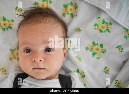 Schönes Kind, das im Bett ruht Stockfoto