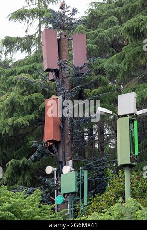 Antennen an einer Basisstation für den Mobilfunkempfang von Mobilfunkanbietern. Umgeben von Bäumen. Stockfoto
