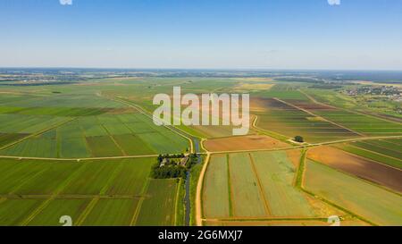 Luftaufnahme landwirtschaftliche Felder. Ländliche Gegend mit Natur auf dem Land. Stockfoto