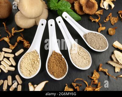 Medizinische Pilze - gesunde Ernährung Stockfoto